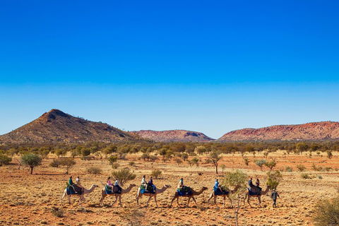 Alice Springs Camel Tour - Sydneys Hotel 0