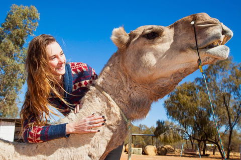 Alice Springs Camel Tour - Sydneys Hotel 2