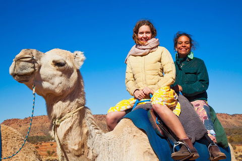 Alice Springs Camel Tour - Sydneys Hotel 3