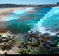 Private Sydney Foreshores and Beaches SUV Tour - Sydneys Hotel