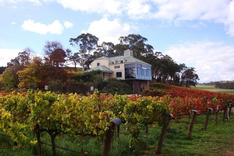 Adelaide Hills Day Tour. Winery Cellar Doors - Sydneys Hotel 4