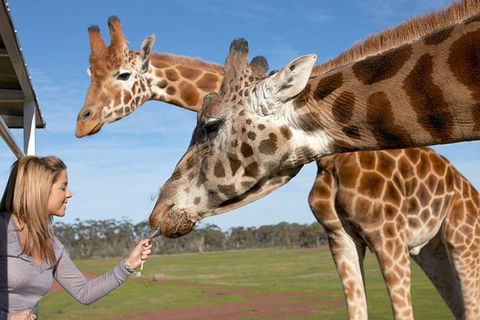 Melbourne City Card (2 Days): Visit Unlimited Attractions! - Sydneys Hotel 1