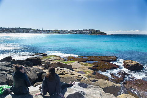 Kiama South Coast Tour With Coastline, Farmlands, Aboriginal Engravings & Lunch - Sydneys Hotel 2