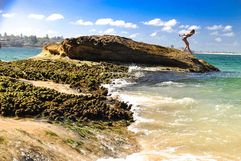 Kiama South Coast Tour With Coastline, Farmlands, Aboriginal Engravings & Lunch - Sydneys Hotel 4
