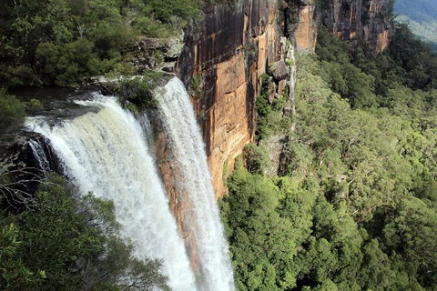 Private Grand Pacific Drive And Southern Highlands Tour - Sydneys Hotel 1