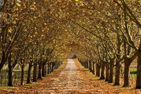 Private Southern Highlands Day Trip From Sydney Including Fitzroy Falls - Sydneys Hotel 4