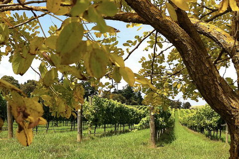 Private Southern Highlands Day Trip From Sydney Including Fitzroy Falls - Sydneys Hotel 5