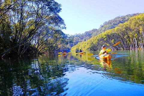 Half-Day Sydney Middle Harbour Guided Kayaking Eco Tour - Sydneys Hotel 1