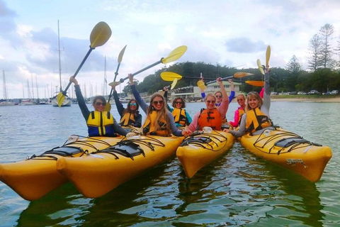 Half-Day Sydney Middle Harbour Guided Kayaking Eco Tour - Sydneys Hotel 2