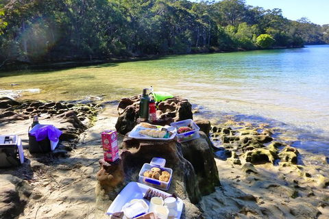 Half-Day Sydney Middle Harbour Guided Kayaking Eco Tour - Sydneys Hotel 5