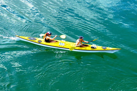 Self-Guided Sydney Middle Harbour Kayak 3 Hour Tour By Double Kayak - Sydneys Hotel 1
