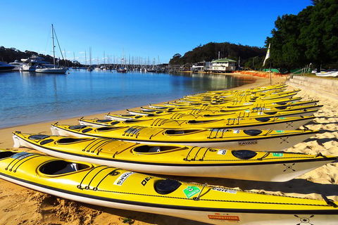 Self-Guided Sydney Middle Harbour Kayak 3 Hour Tour By Double Kayak - Sydneys Hotel 4