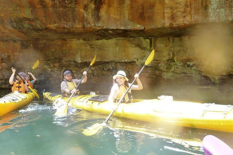 Middle Harbour Mangrove Explorer - Sydneys Hotel 1