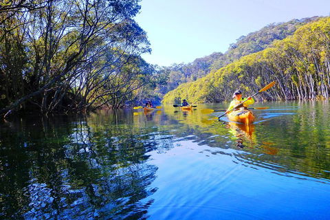 Middle Harbour Mangrove Explorer - Sydneys Hotel 5
