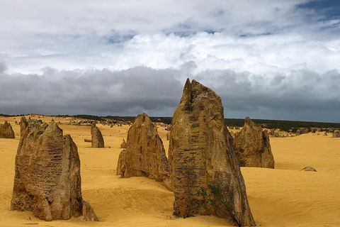 Private Pinnacles Day Tour - Sydneys Hotel 1