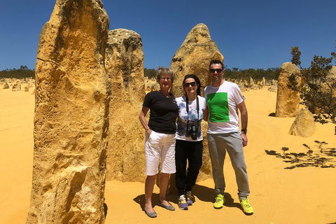 Private Pinnacles Day Tour - Sydneys Hotel 3