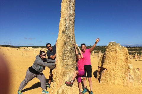 Private Pinnacles Day Tour - Sydneys Hotel 4