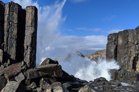 Erupting Blowholes And Ancient Rainforests With 'Personalised Sydney Tours' - Sydneys Hotel 0