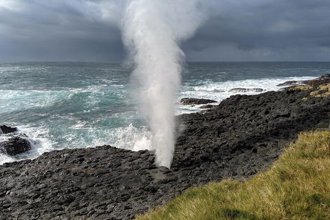 Erupting Blowholes And Ancient Rainforests With 'Personalised Sydney Tours' - Sydneys Hotel 1