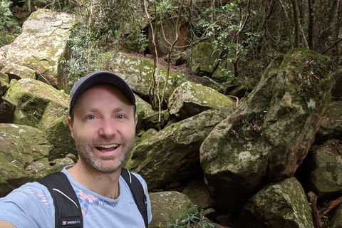 Australian Wildlife & Waterfalls Private Tour With 'Personalised Sydney Tours' - Sydneys Hotel 4