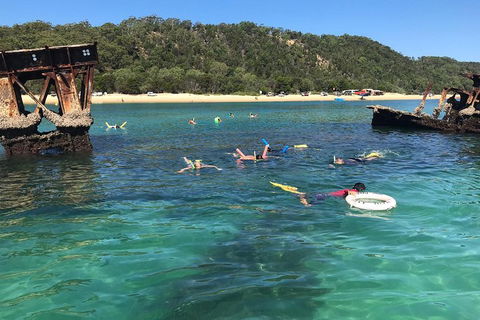 All Inclusive Dolphin And Tangalooma Wrecks Cruise - Sydneys Hotel 0