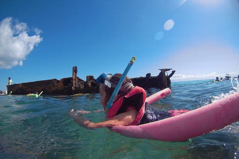 All Inclusive Dolphin And Tangalooma Wrecks Cruise - Sydneys Hotel 2