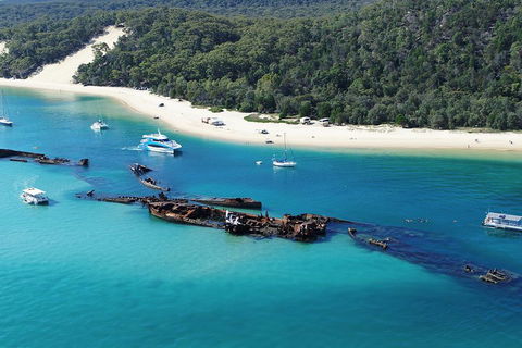 All Inclusive Dolphin And Tangalooma Wrecks Cruise - Sydneys Hotel 4