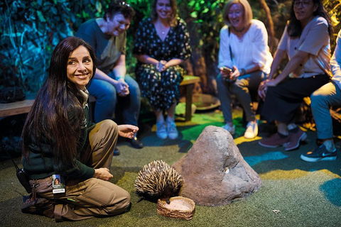 Sydney Taronga Zoo's Australian Animals Tour - Sydneys Hotel 0