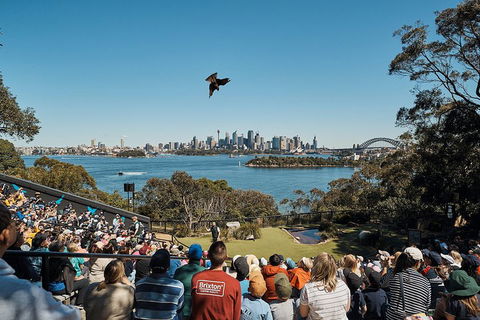 Sydney Taronga Zoo's Australian Animals Tour - Sydneys Hotel 5