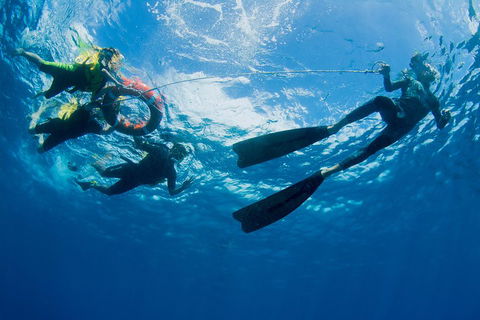 Passions Of Paradise Great Barrier Reef Snorkel And Dive Cruise From Cairns By Luxury Catamaran - Sydneys Hotel 2