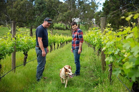 LGBT+ Friendly Full Day Yarra Valley & Dandenong Ranges Private Tour - Sydneys Hotel 4
