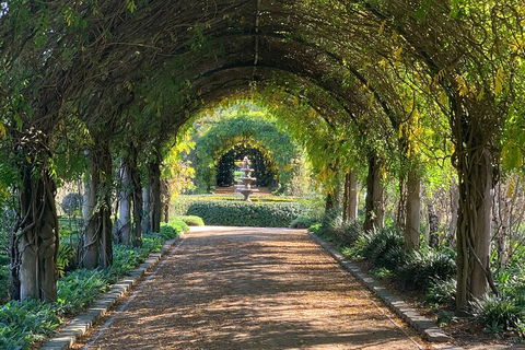 LGBT+ Friendly Full Day Yarra Valley & Dandenong Ranges Private Tour - Sydneys Hotel 5