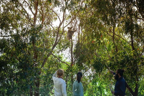 LGBT+ Friendly 3 Day Tour The Grampians, Daylesford & Ballarat - Sydneys Hotel 4