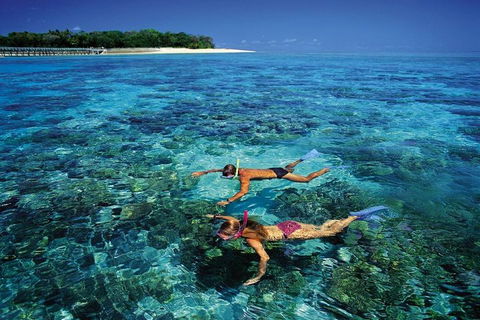 Green Island Day Trip From Cairns - Sydneys Hotel 5