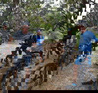 Fully guided E-Mountain Bike Tour on the beautiful Mornington Peninsula. - Sydneys Hotel