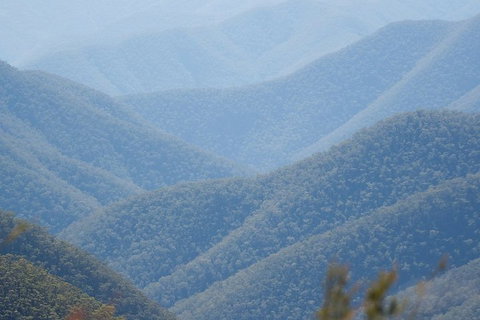 From The Mountains To The Bay - 4 Day Rediscovery Private Tour - Sydneys Hotel 1
