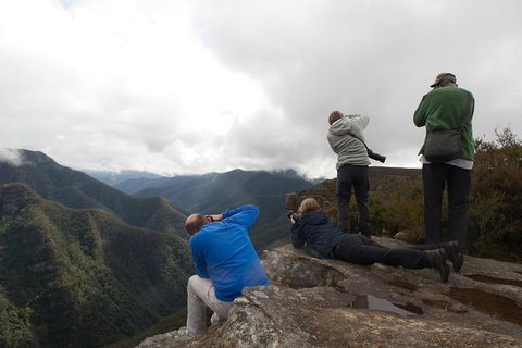 From The Mountains To The Bay - 4 Day Rediscovery Private Tour - Sydneys Hotel 4