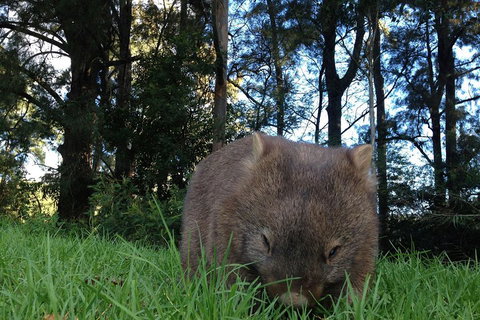 From The Mountains To The Bay - 4 Day Rediscovery Private Tour - Sydneys Hotel 5