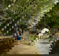 Discover Tour Dandenong Ranges  William Ricketts Sanctuary - Sydneys Hotel