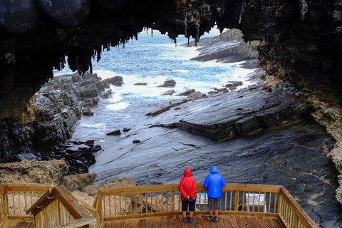 Full-Day Kangaroo Island Safari From Penneshaw - Sydneys Hotel 1