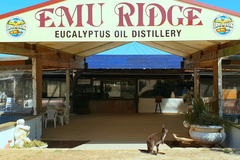 Full-Day Kangaroo Island Safari From Penneshaw - Sydneys Hotel 2