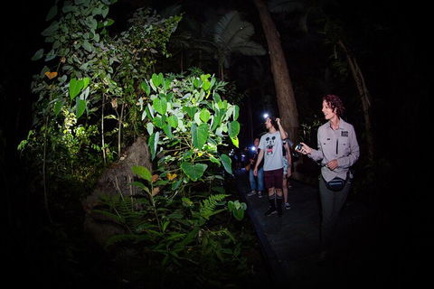 Let's Go Buggin & Let's Go Shroomin - Photography & Nature Walking Tours - Sydneys Hotel 4