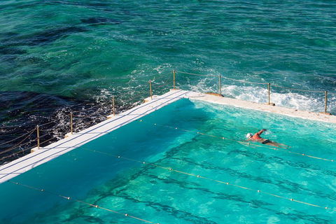 Small Group Essential Sydney Tour Including Lunch - Sydneys Hotel 5