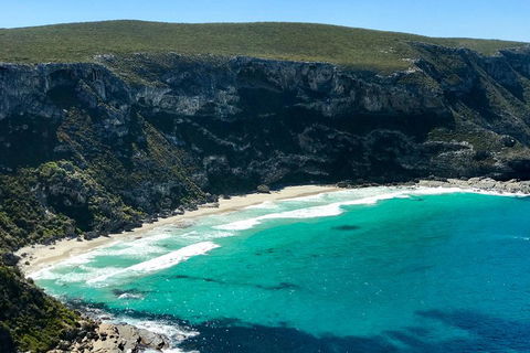 Kangaroo Island Scenic Trail Tour - Sydneys Hotel 4