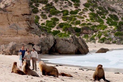 Kangaroo Island Scenic Trail Tour - Sydneys Hotel 5