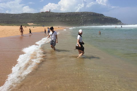 Small-Group Sydney's Northern Beaches And Ku-ring-gai National Park Bus Tour - Sydneys Hotel 5