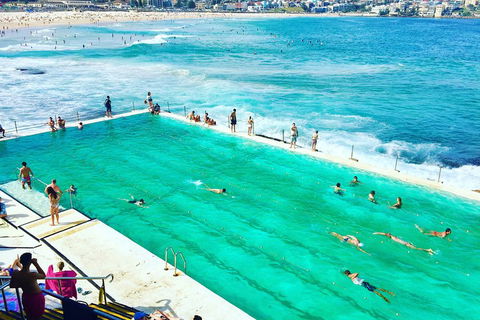 Sydney City, Harbour & Bondi Private Tour, With Airport Pick Up Or Drop Off - Sydneys Hotel 0