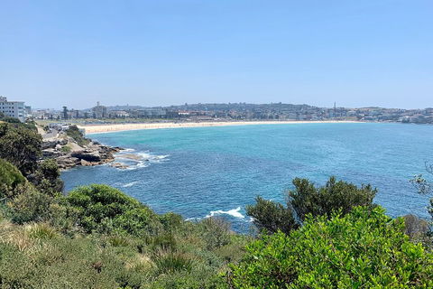 Sydney City, Harbour & Bondi Private Tour, With Airport Pick Up Or Drop Off - Sydneys Hotel 5