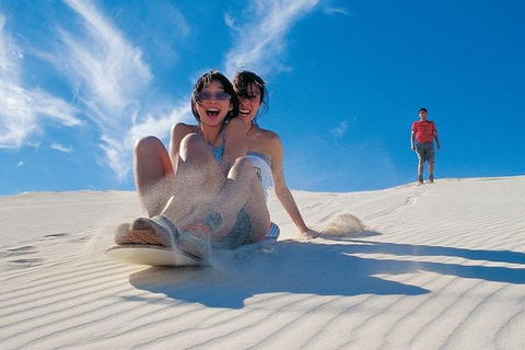 Pinnacles Desert, Koalas And Sandboarding 4WD Day Tour From Perth - Sydneys Hotel 3