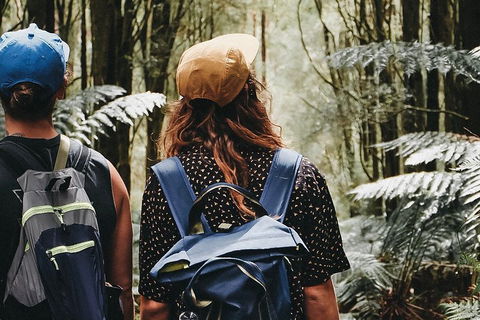 Small Group - Yarra Valley & Dandenong Ranges Hike From Melbourne - Sydneys Hotel 0